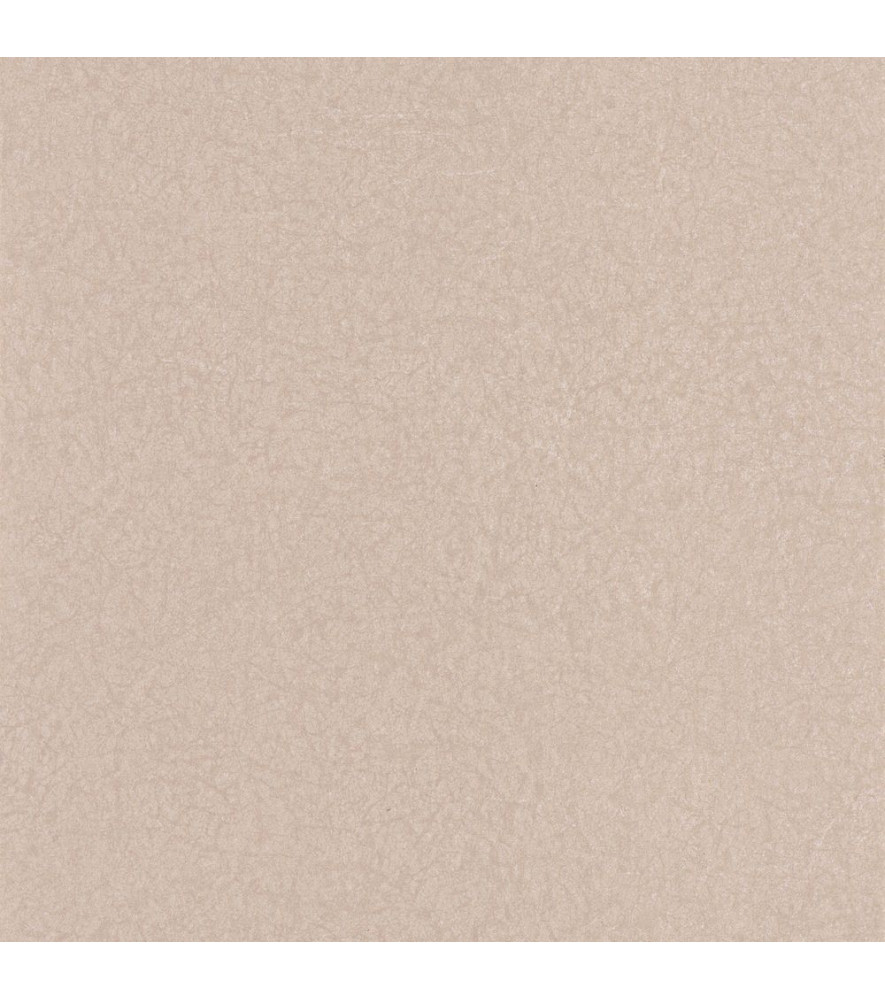 Papier Peint CASADECO Leathers LEAT87151002 Papier Peint CASADECO Leathers LEAT87151002