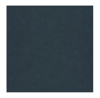 Papier Peint CASADECO Leathers LEAT87166805