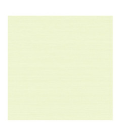 Papier Peint ELITIS Soie Changeante VP 928_01