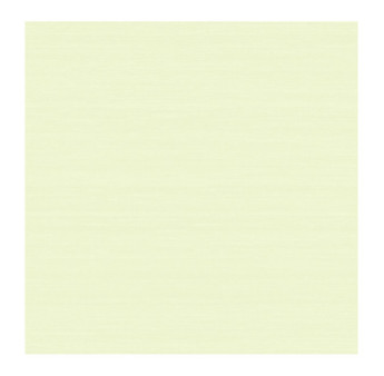 Papier Peint ELITIS Soie Changeante VP 928_01