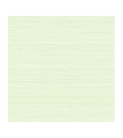 Papier Peint ELITIS Soie Changeante VP 928_02