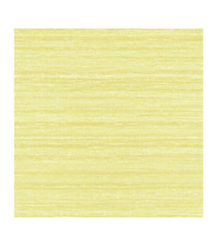 Papier Peint ELITIS Soie Changeante VP 928_20