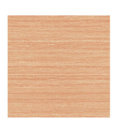 Papier Peint ELITIS Soie Changeante VP 928_52