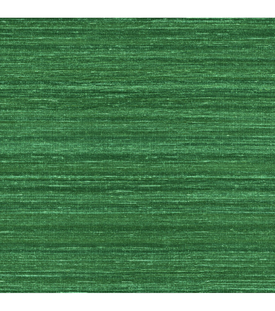 Papier Peint ELITIS Soie Changeante VP 928_60 Papier Peint ELITIS Soie Changeante VP 928_60
