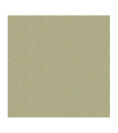 Papier Peint ELITIS Volver VP 920_02