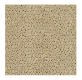 Papier Peint ELITIS Cordes sensibles VP 993_10