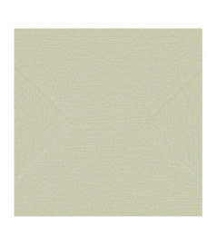 Papier Peint ELITIS Cordes sensibles VP 994 01 Lépure prime