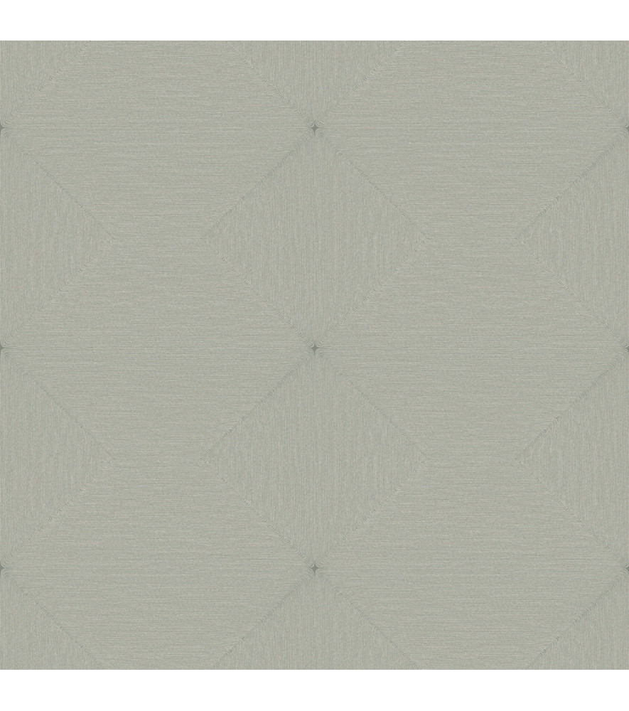 Papier Peint ELITIS Cordes sensibles VP 994_02 Papier Peint ELITIS Cordes sensibles VP 994_02