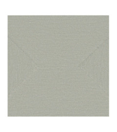 Papier Peint ELITIS Cordes sensibles VP 994 02 La puissance de la simplicité