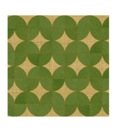 Papier Peint ELITIS Cordes sensibles VP 995 60 Danser sur une corde