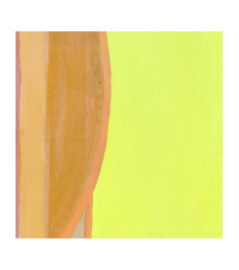 Panoramique ELITIS Cordes sensibles VP 1000 01 Un réel imaginaire 280x300cm