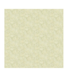Papier Peint ELITIS Sauvages VP 967 01 Le roi des banquises