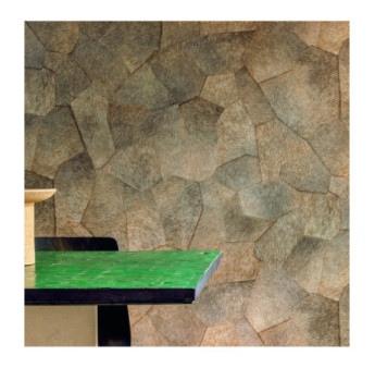 Papier Peint ELITIS Sauvages VP 967 05 Terres fertiles