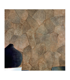 Papier Peint ELITIS Sauvages VP 967 05 Terres fertiles