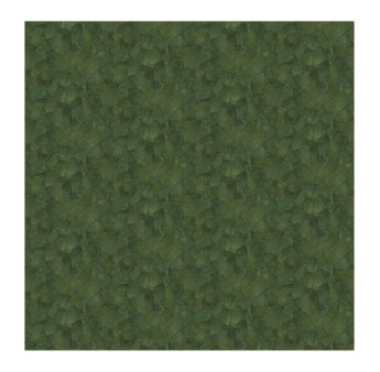Papier Peint ELITIS Sauvages VP 967 62 Résister aux grands froids