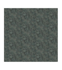 Papier Peint ELITIS Sauvages VP 967 81 Rennes sauvages