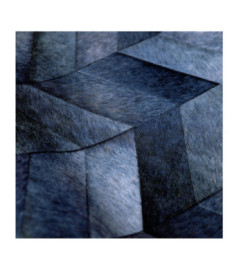 Papier Peint ELITIS Sauvages VP 968 41 Bleu des steppes