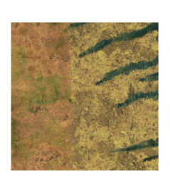 Panoramique ELITIS Sauvages VP 971 01 Tigre royal