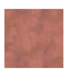 Papier Peint ELITIS Ortigia VP 960 30 Imprégné de santal
