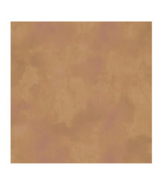 Papier Peint ELITIS Ortigia VP 960 71 Le temps suspendu!