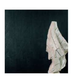 Papier Peint ELITIS Bois sculpté VP 936 80 Wengué