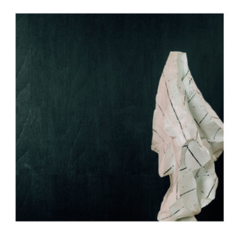 Papier Peint ELITIS Bois sculpté VP 936 80 Wengué