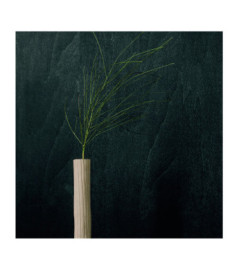 Papier Peint ELITIS Bois sculpté VP 936 80 Wengué
