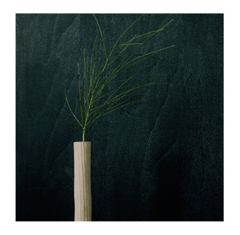 Papier Peint ELITIS Bois sculpté VP 936 80 Wengué
