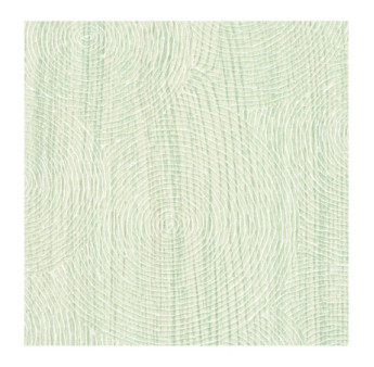 Papier Peint ELITIS Bois sculpté VP 937_01
