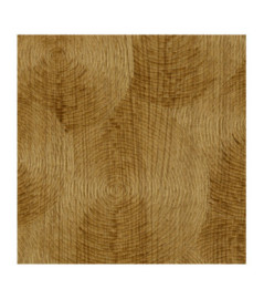Papier Peint ELITIS Bois sculpté VP 937 30 Y faire son miel