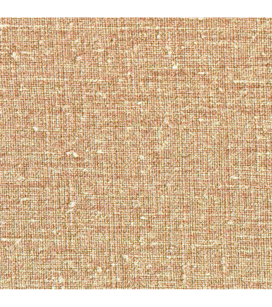 Papier Peint ELITIS Lins brodés VP 953_16 Papier Peint ELITIS Lins brodés VP 953_16