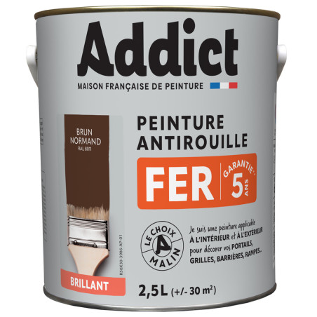 Peinture fer monocouche LOXXO blanc 2,5L