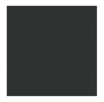 Papier Peint ERISMANN Martinique 10393-47