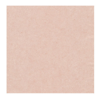 Papier Peint ERISMANN Gentle 10430-23