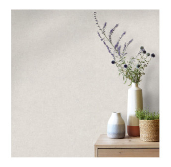 Papier Peint ERISMANN Collection GENTLE 10430-39 Creme