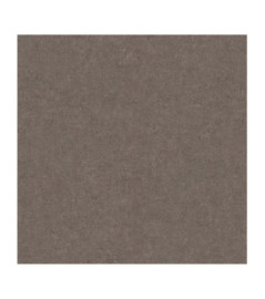 Papier Peint ERISMANN Gentle 12207-11