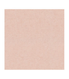 Papier Peint ERISMANN Gentle 12207-23