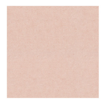 Papier Peint ERISMANN Gentle 12207-23