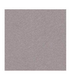 Papier Peint ERISMANN Gentle 12211-37