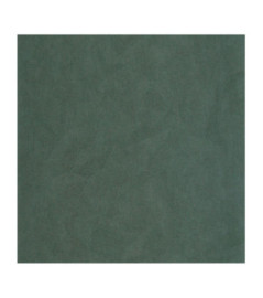 Papier Peint CASADECO Riverside 4 RIVI86426345