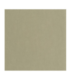 Papier Peint CASADECO Riverside 4 RIVI86427223