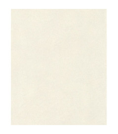 Papier peint stock DELZONGLE Collection SOPHIA 2023 référence 3049