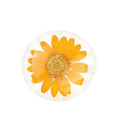 RÄDER Magnet Flower Power