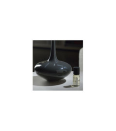 ESTEBAN Diffuseur Brume de parfum Édition ART gris taupe