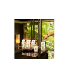 ESTEBAN Bougie parfumée rechargeable CITRONNELLE et MENTHE 180g