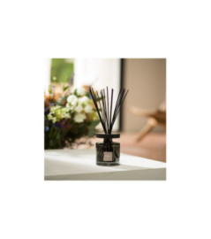 ESTEBAN Bouquet parfumé Ellipse rechargeable  CEDRE 200ml