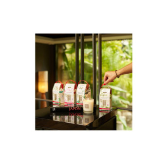 ESTEBAN Bougie parfumée rechargeable CITRONNELLE et MENTHE 180g