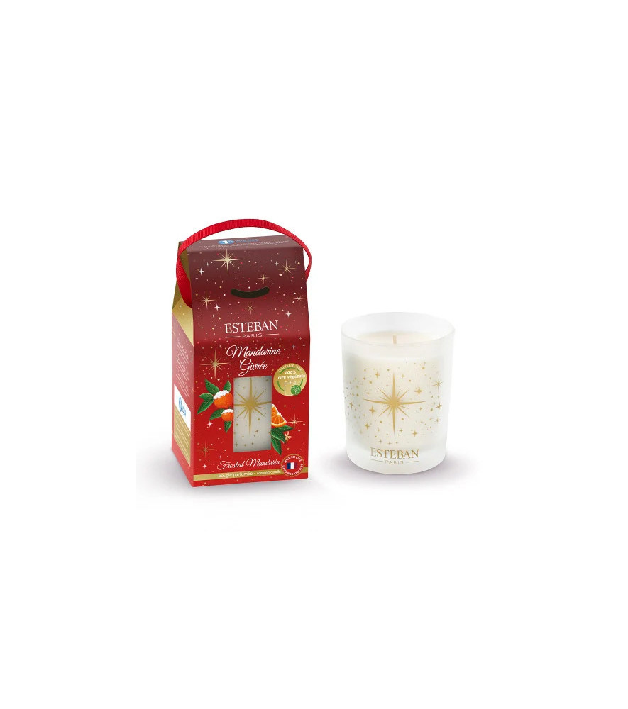 ESTEBAN Bougie parfumée rechargeable MANDARINE GIVRÉE 180g ESTEBAN Bougie parfumée rechargeable MANDARINE GIVRÉE 180g