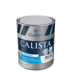 Peinture GUITTET Calista mat velours base GUP 1L
