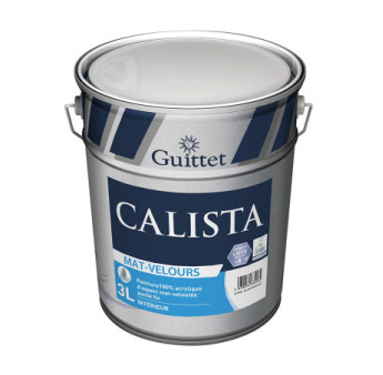 Peinture GUITTET Calista mat velours base GUP 3L